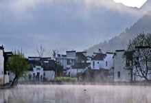 龙井茶分级指南：如何挑选心仪好茶(龙井茶怎么分级别)